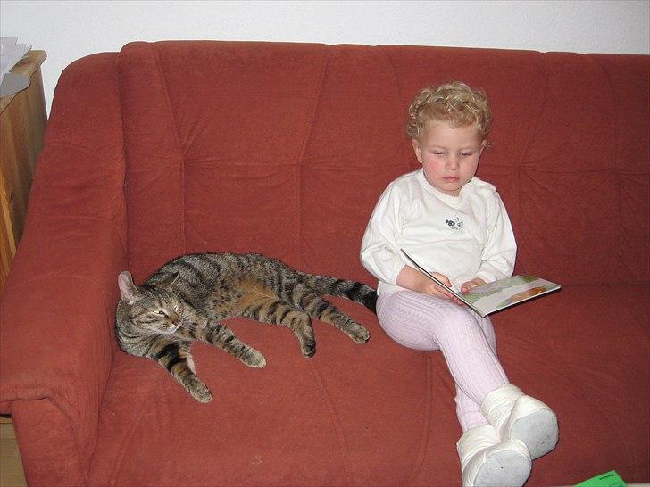 Huskat Ziggie - Maya læser for Ziggie billede 4