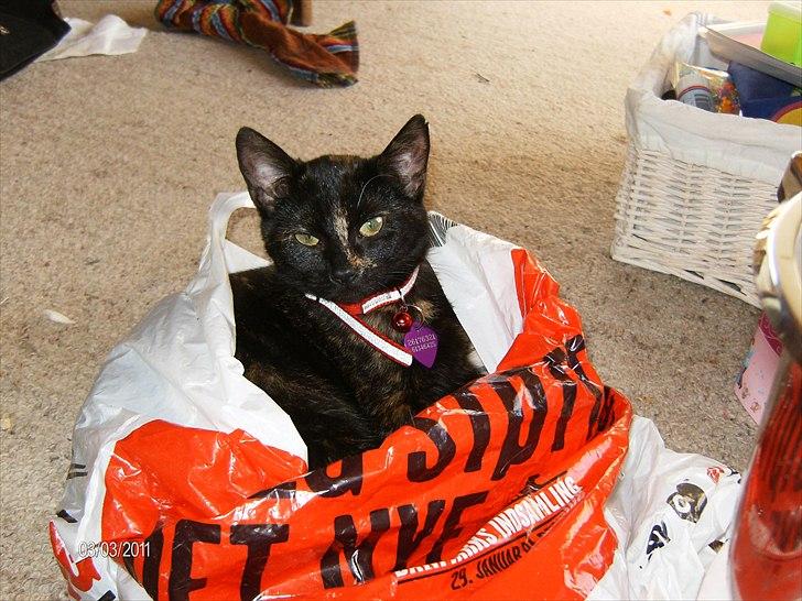 Huskat Limea billede 12