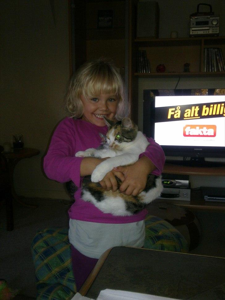 Huskat Emma - Kira elsker også Emma :-) billede 10