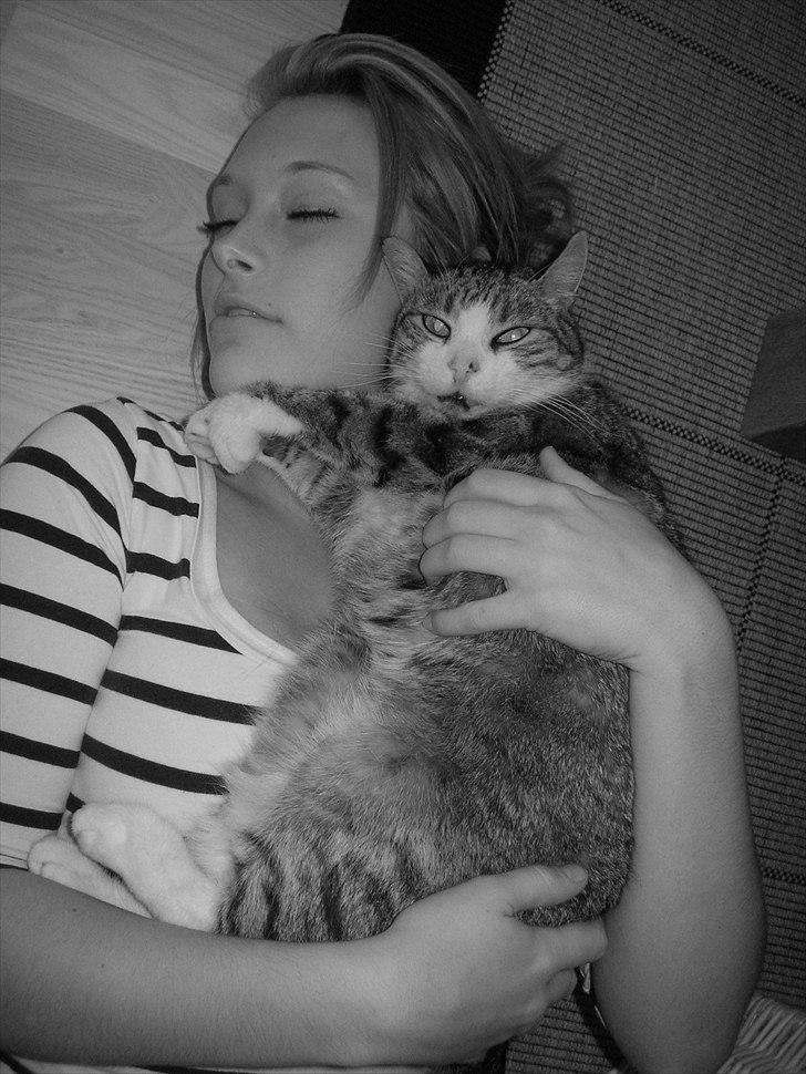 Blanding af racer Mille - Savnes. billede 8