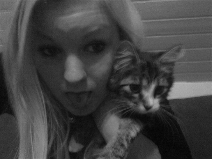 Blanding af racer Vina billede 13