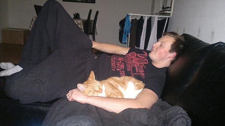 Huskat Herman 'Hermie' - Her ligger jeg godt billede 11