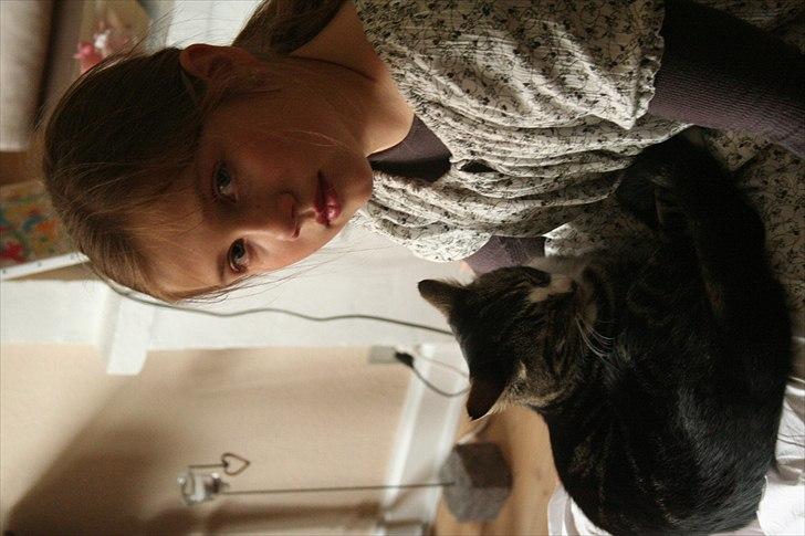 Blanding af racer Striber - Undskyld det vender forkert billede 6