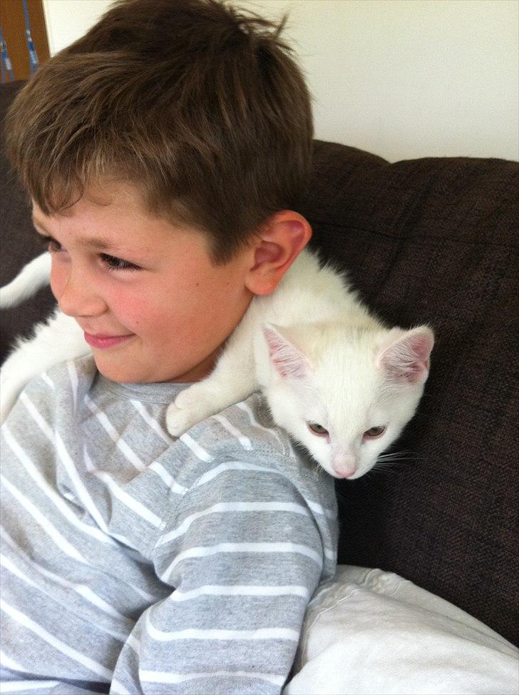 Blanding af racer Frederikke - Buster og Frederikke ser tv billede 5