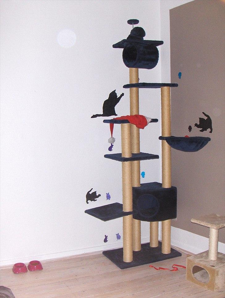 Huskat "Piv" - Mit nye legetræ! billede 12