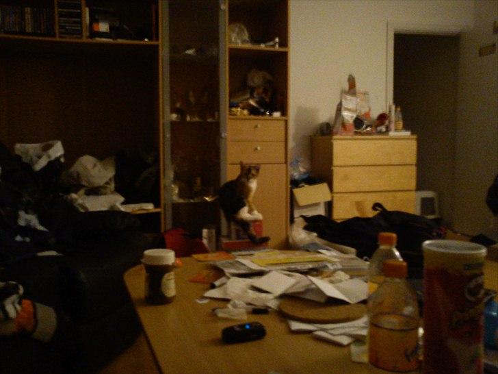 Huskat pjevs  billede 9