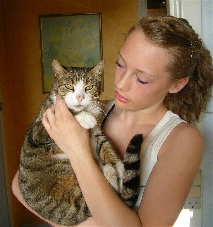 Blanding af racer Mille - Savnes. billede 19