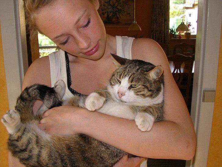 Blanding af racer Mille - Savnes. billede 20