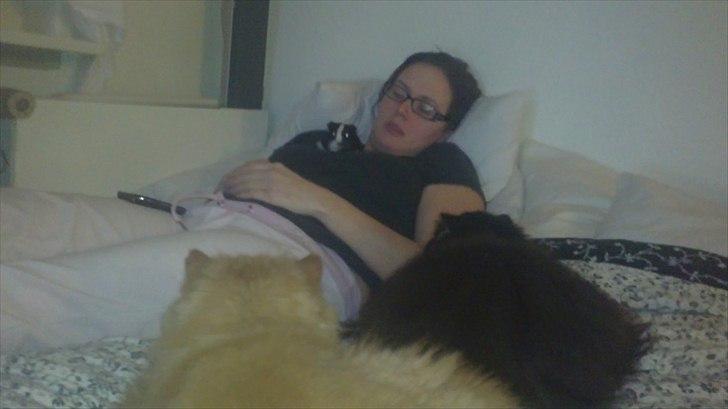 Perser Henry - vi ligger og holder øje med den pels ting mor ligger med?? billede 5