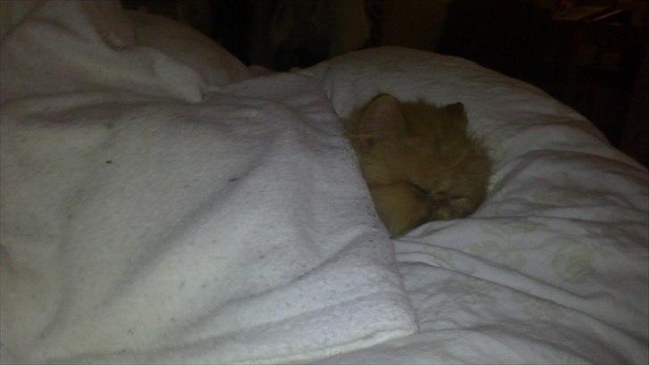 Perser Henry - Im in heaven billede 11