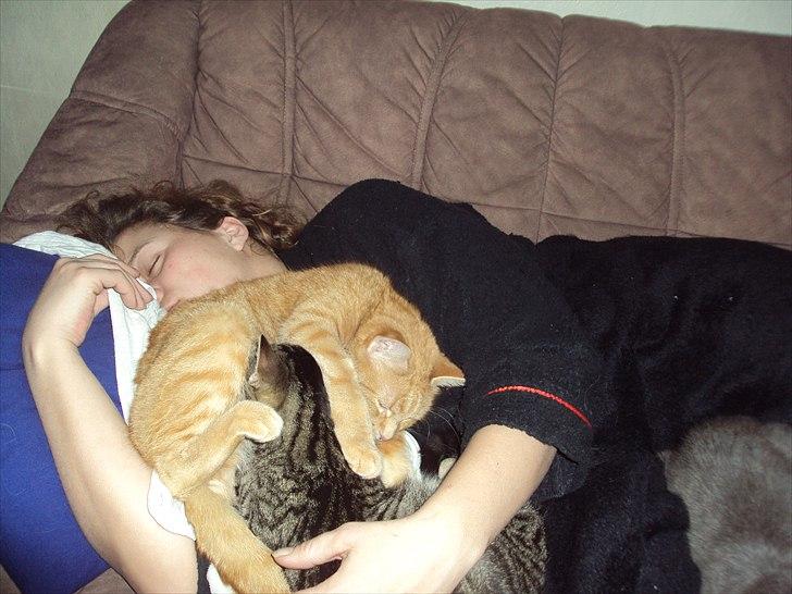 Huskat Fiona billede 9