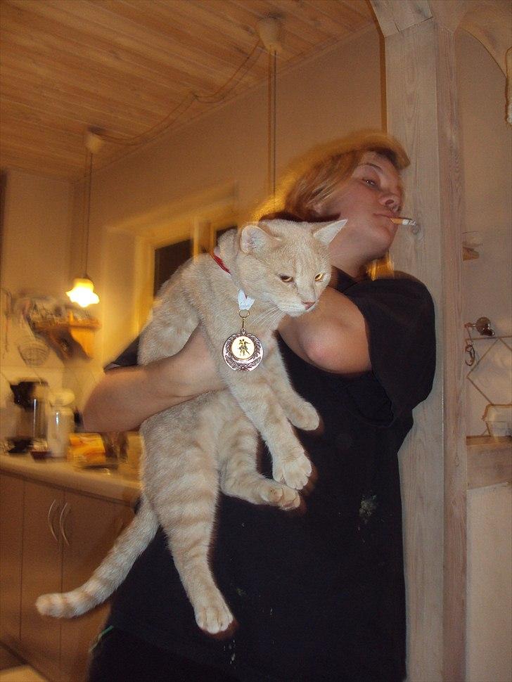 Huskat Simba billede 20