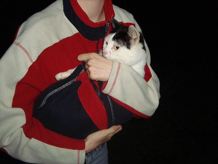 Blanding af racer Dimon Junior R.I.P. Soulmate<3 - Min lille baby<3 billede 6