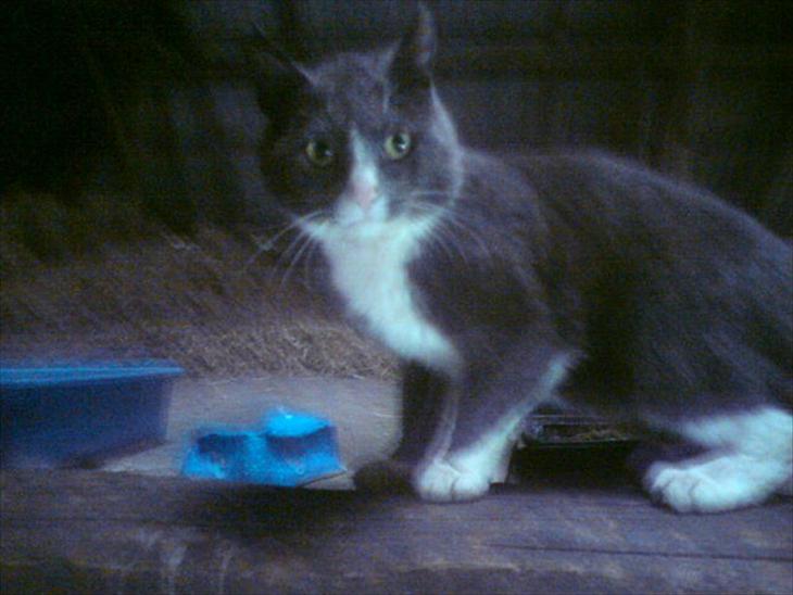 {{currentPhoto.altText}} billede {{currentPhoto.number}}