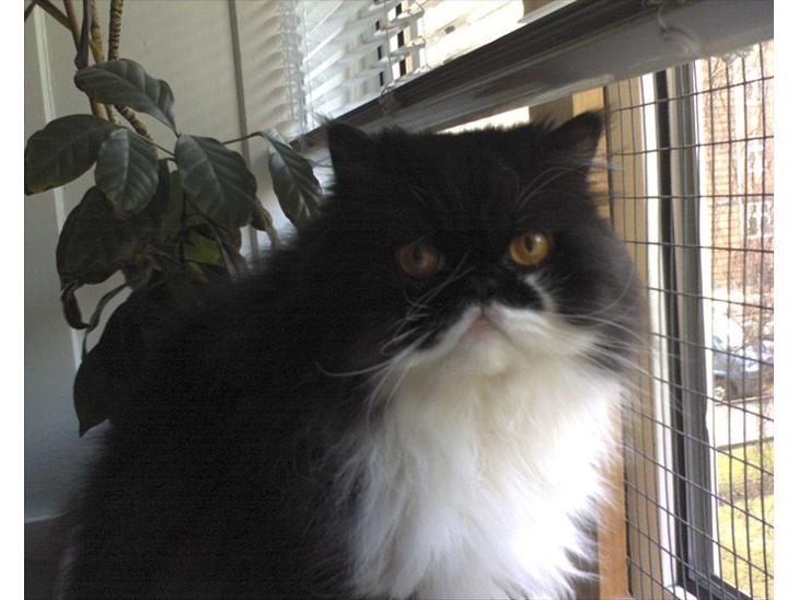 {{currentPhoto.altText}} billede {{currentPhoto.number}}