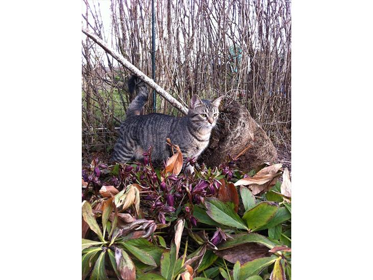 {{currentPhoto.altText}} billede {{currentPhoto.number}}