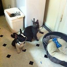 Blanding af racer Batman