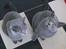 British Shorthair Bertram