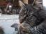 Maine Coon Hannah - Min smukke Hannah'mis :) Hun mener jo selv hun er DRONNINGEN!