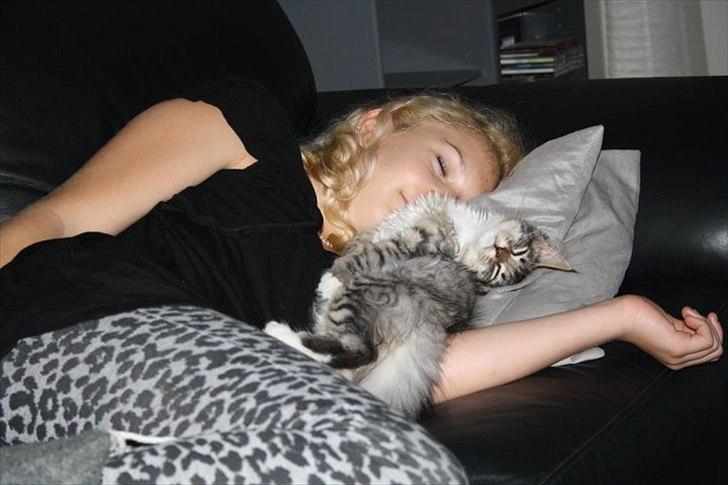 Blanding af racer Pjuske - Pjuske og jeg, tar en lille lur.
Læg mærke til hvordan hun ligger. billede 2