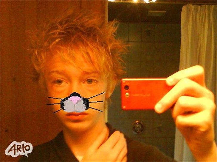 Siameser Kaps - Når jeg skal i byen! billede 2