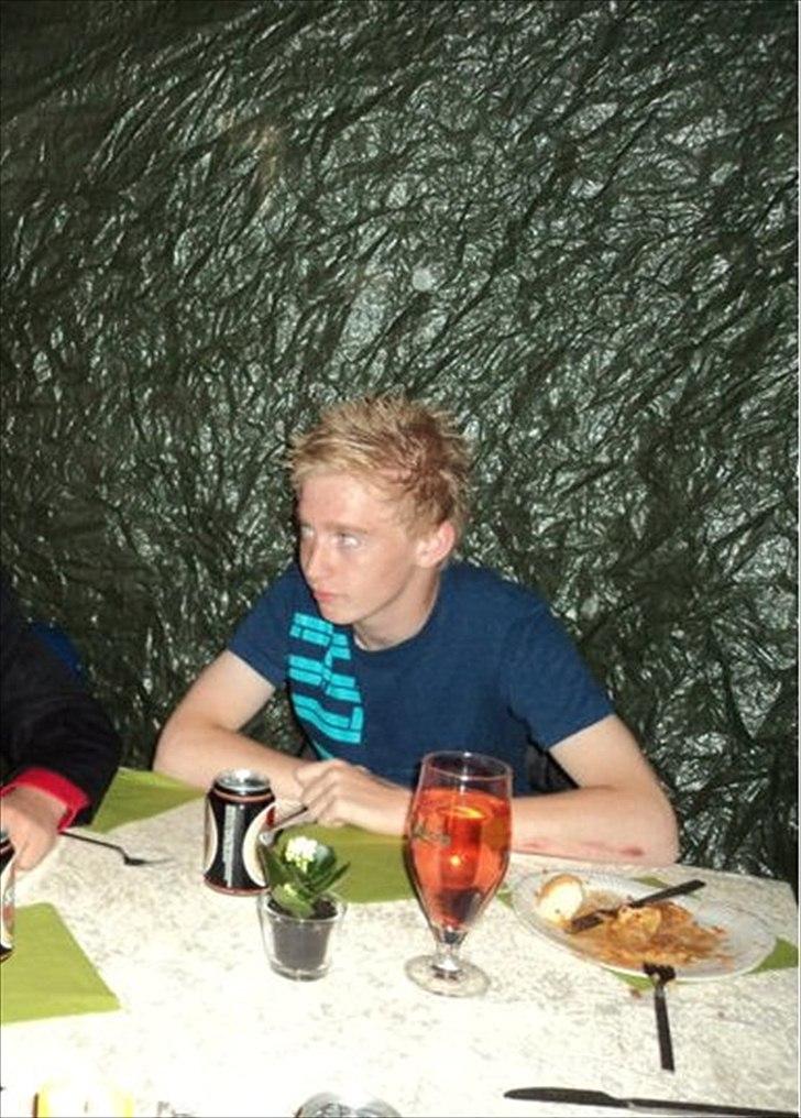 Siameser Kaps - Brunkræm!!! billede 4