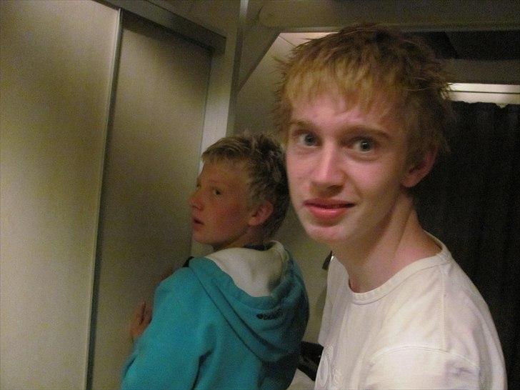 Siameser Kaps - Små drenge!! billede 6