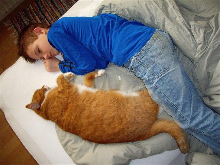 Huskat Thor billede 5