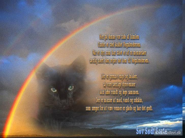 Huskat Sorte <3 R.I.P - 7) Tusind tak!  billede 7