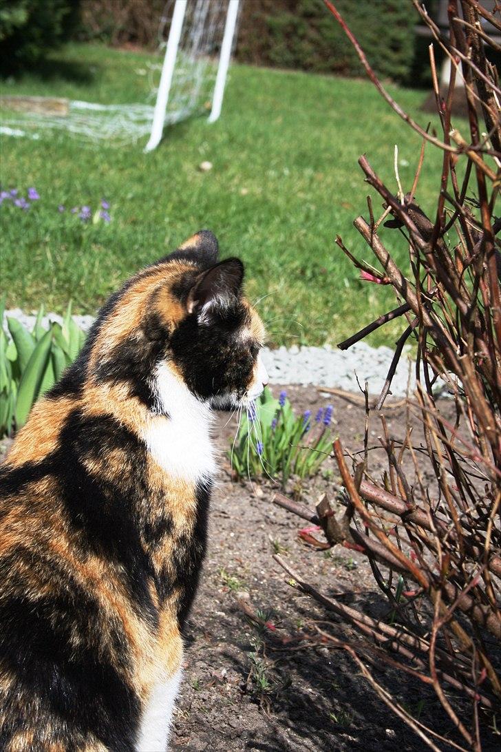 Huskat Küla billede 3