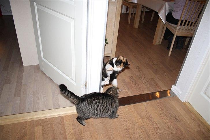 Huskat Küla billede 5