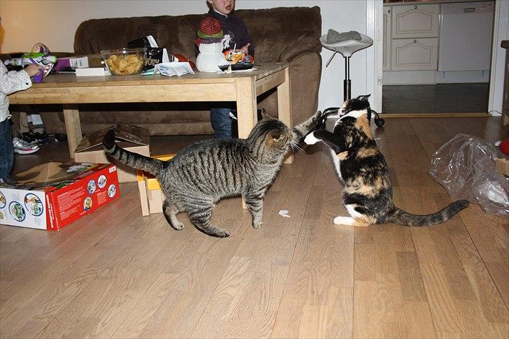 Huskat Küla billede 6