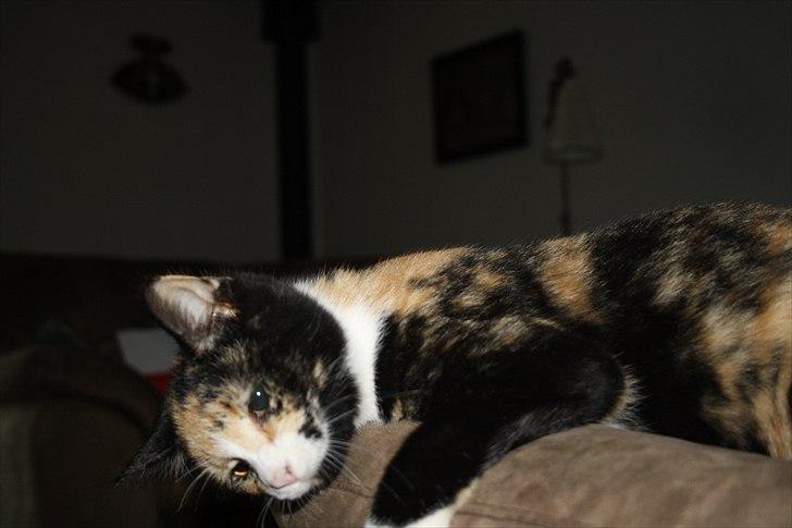 Huskat Küla billede 9