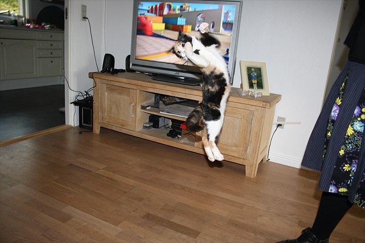 Huskat Küla billede 11