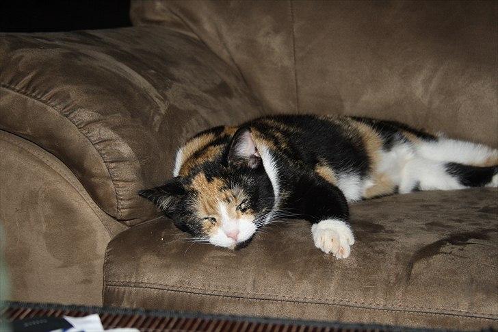 Huskat Küla billede 12