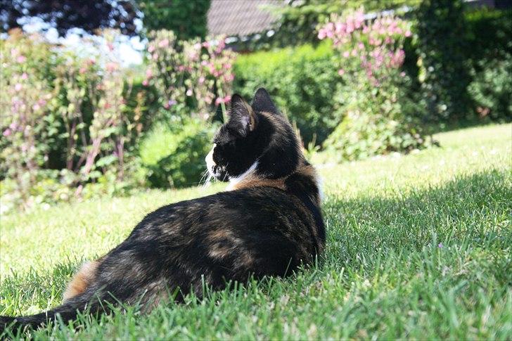 Huskat Küla billede 15