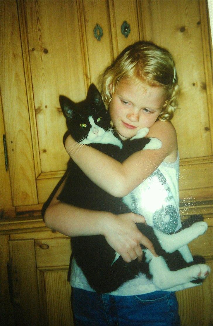 Huskat Mimi billede 8