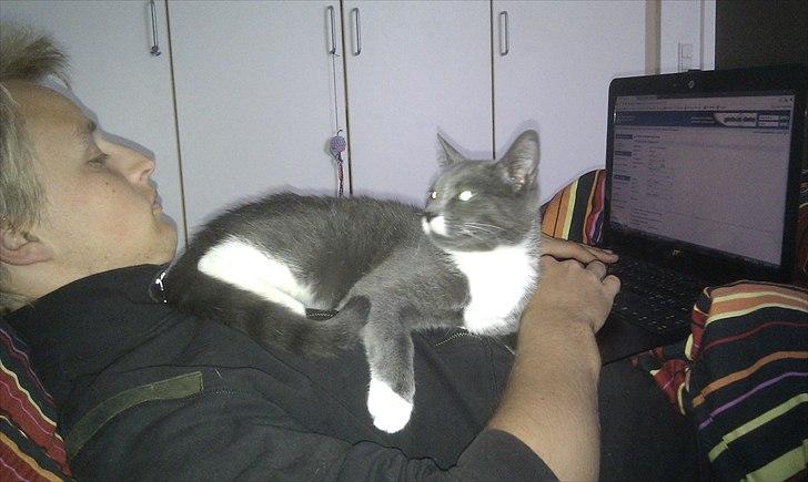 Huskat Terminator - hvis der er noget andet end ham der får opmærksomheden os skal han nok finde ud af at få den igen, det kan man jo bl.a. gøre ved at ligge sig midt i centrum billede 1