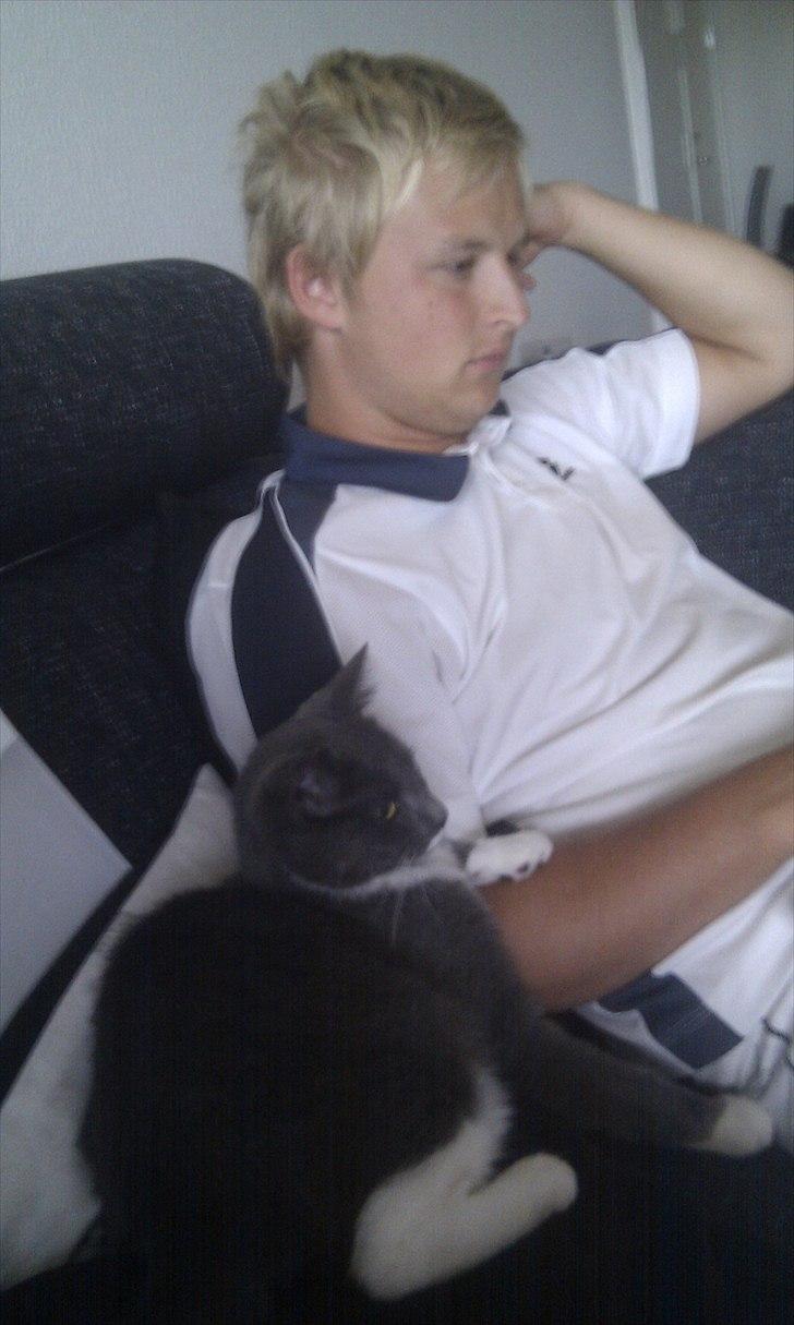 Huskat Terminator - Når der skal hygges ved fjernsynet så skal terminator nok være med, og han skal nok vise hvor meget man betyder for ham. billede 5