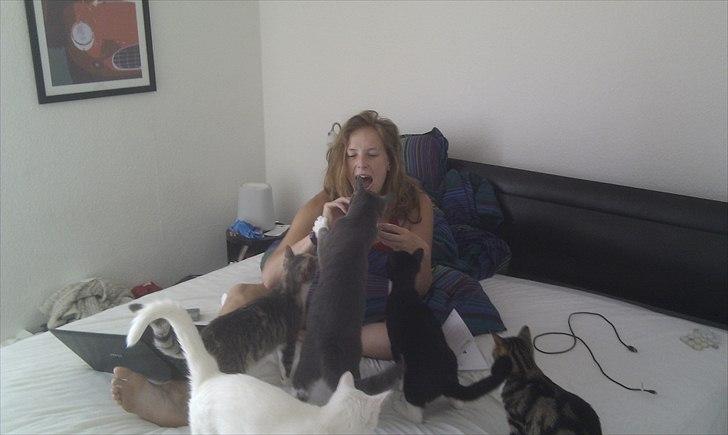 Huskat Terminator - Terminator der ikke synes han fik nok godbid og valgte derfor at tage fingeren med :D billede 10