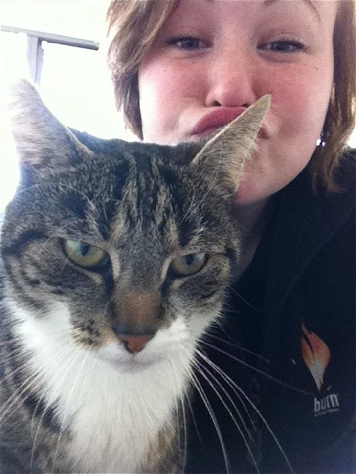 Blanding af racer Sjikke - "Kan I se hvad jeg skal udsættes for hver dag?" billede 7