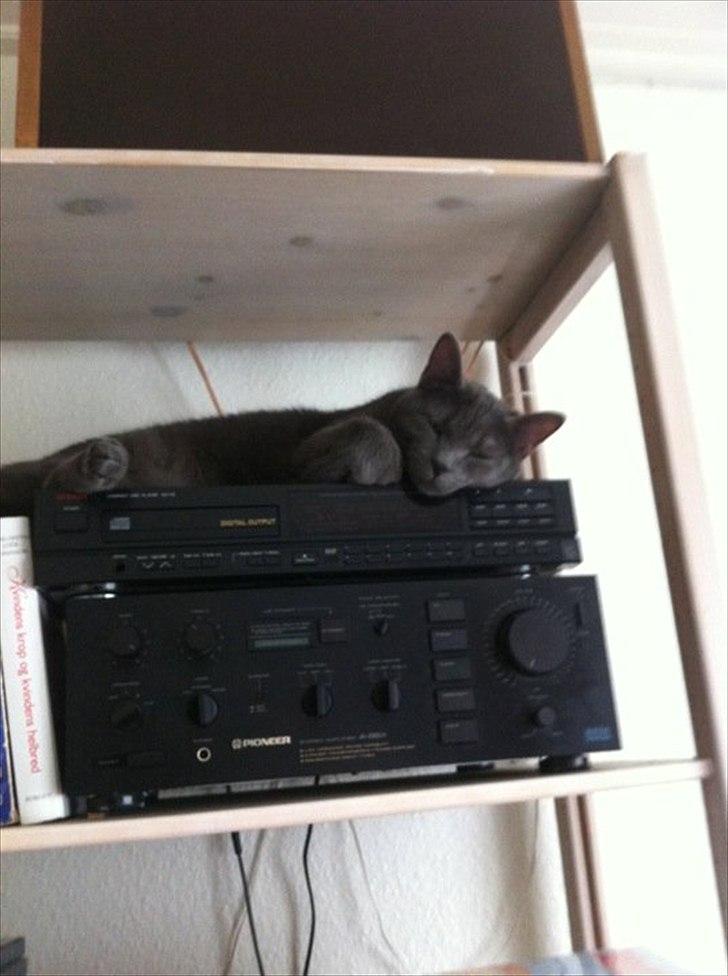 Blanding af racer Batman billede 1