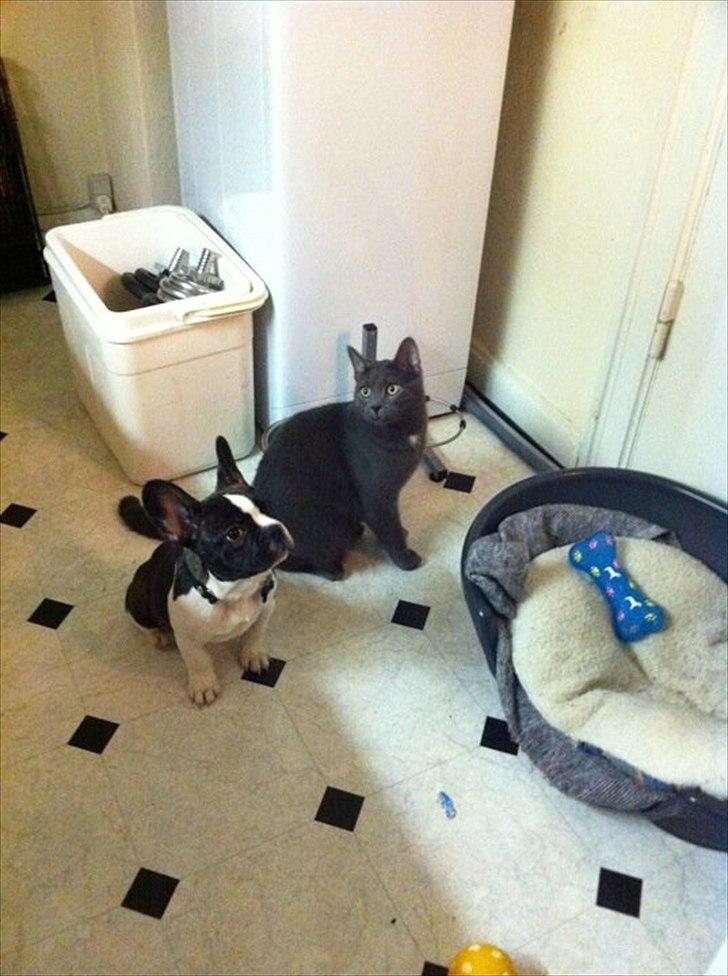 Blanding af racer Batman billede 2