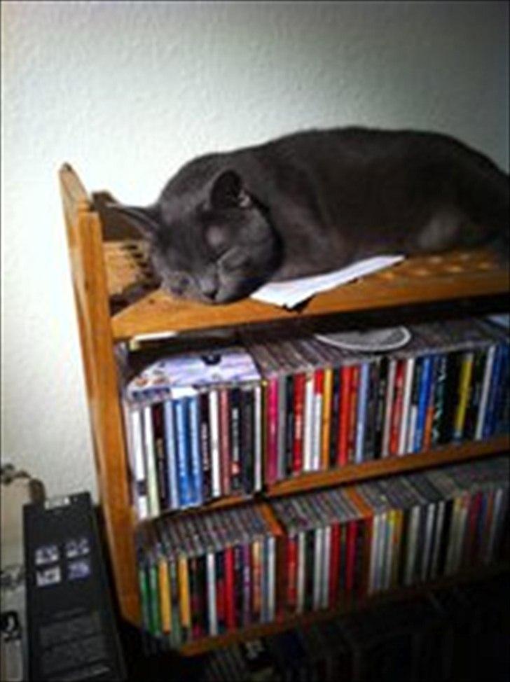 Blanding af racer Batman billede 5