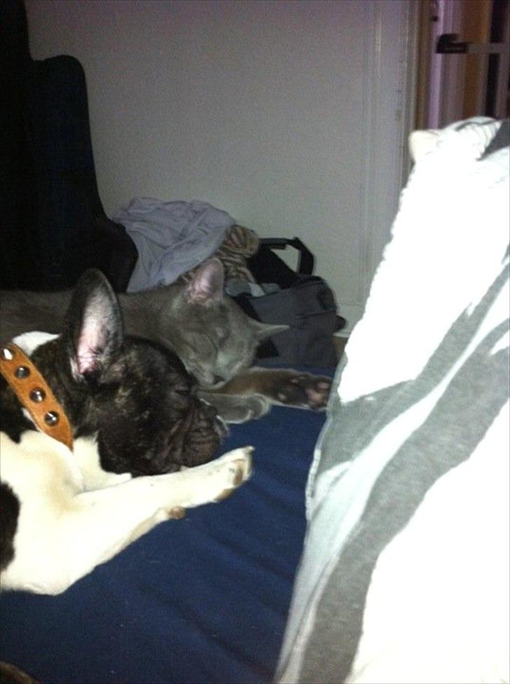 Blanding af racer Batman billede 6