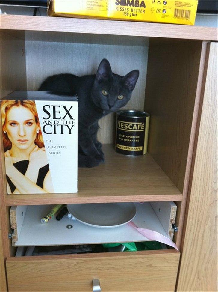 Blanding af racer Batman billede 9