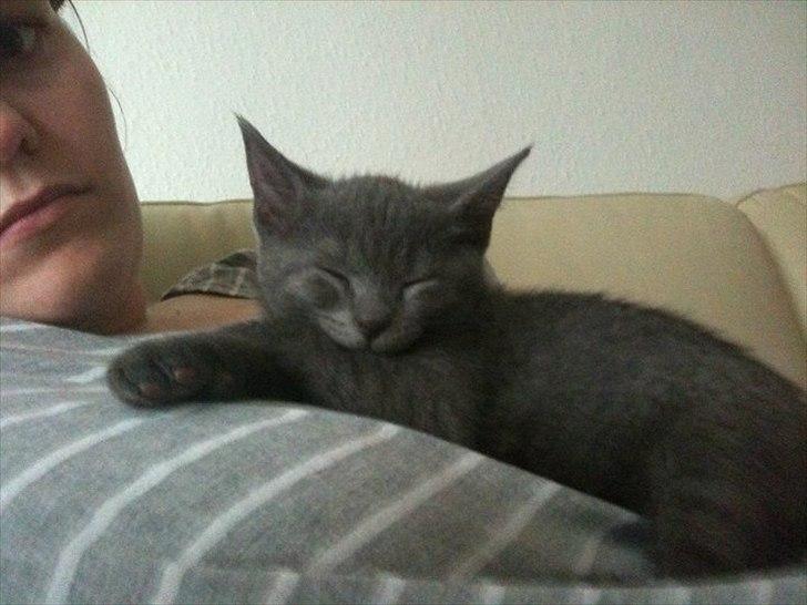 Blanding af racer Batman billede 16