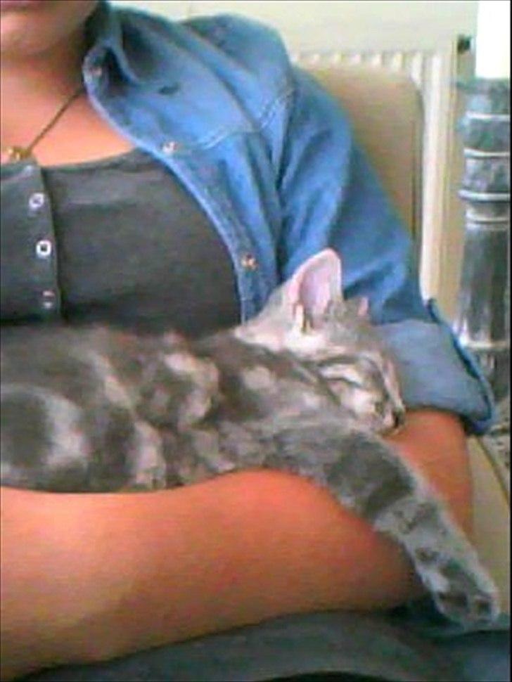 Blanding af racer Mathilde kakaomælk - Når man er rigtig træt ;-) Hun sov i 2-3 timer.  billede 4