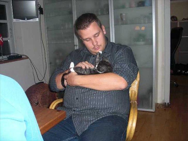 Blanding af racer Piv-mis (FelixJunkersen) R.I.P :'-( billede 19