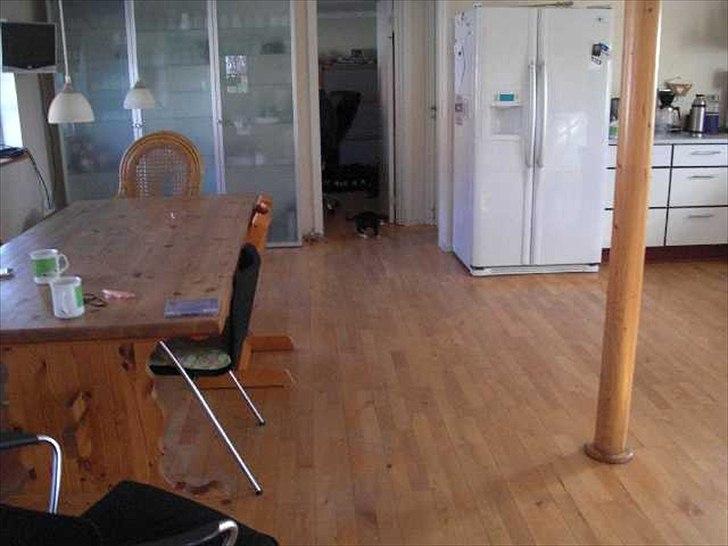 Blanding af racer Piv-mis (FelixJunkersen) R.I.P :'-( billede 20